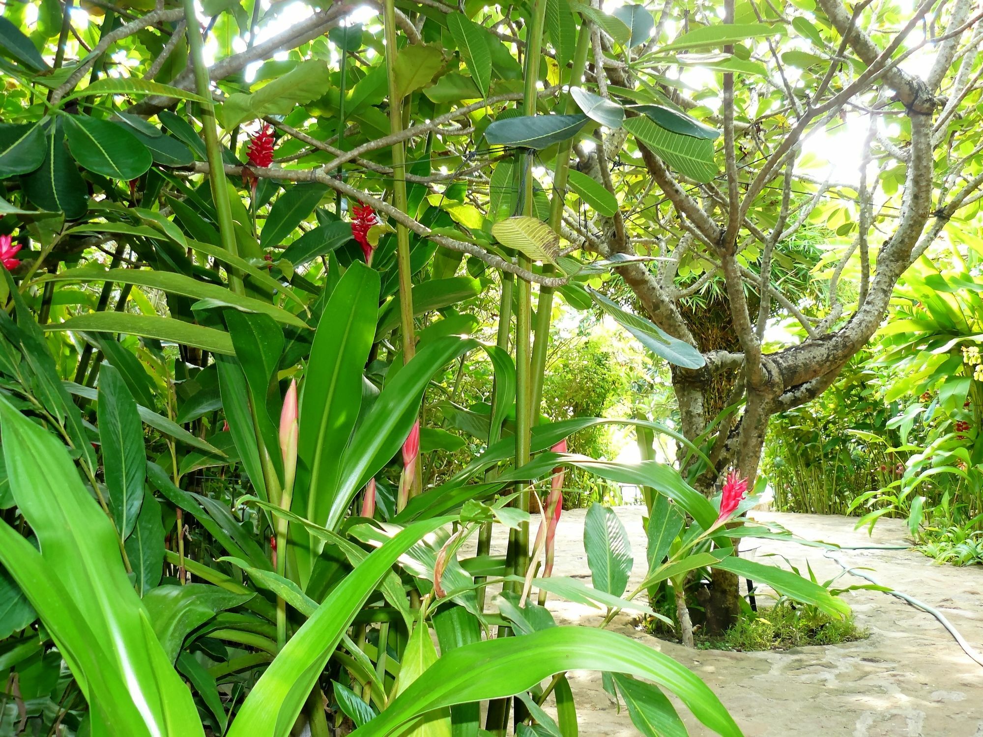 Mealea Resort Kep Bagian luar foto