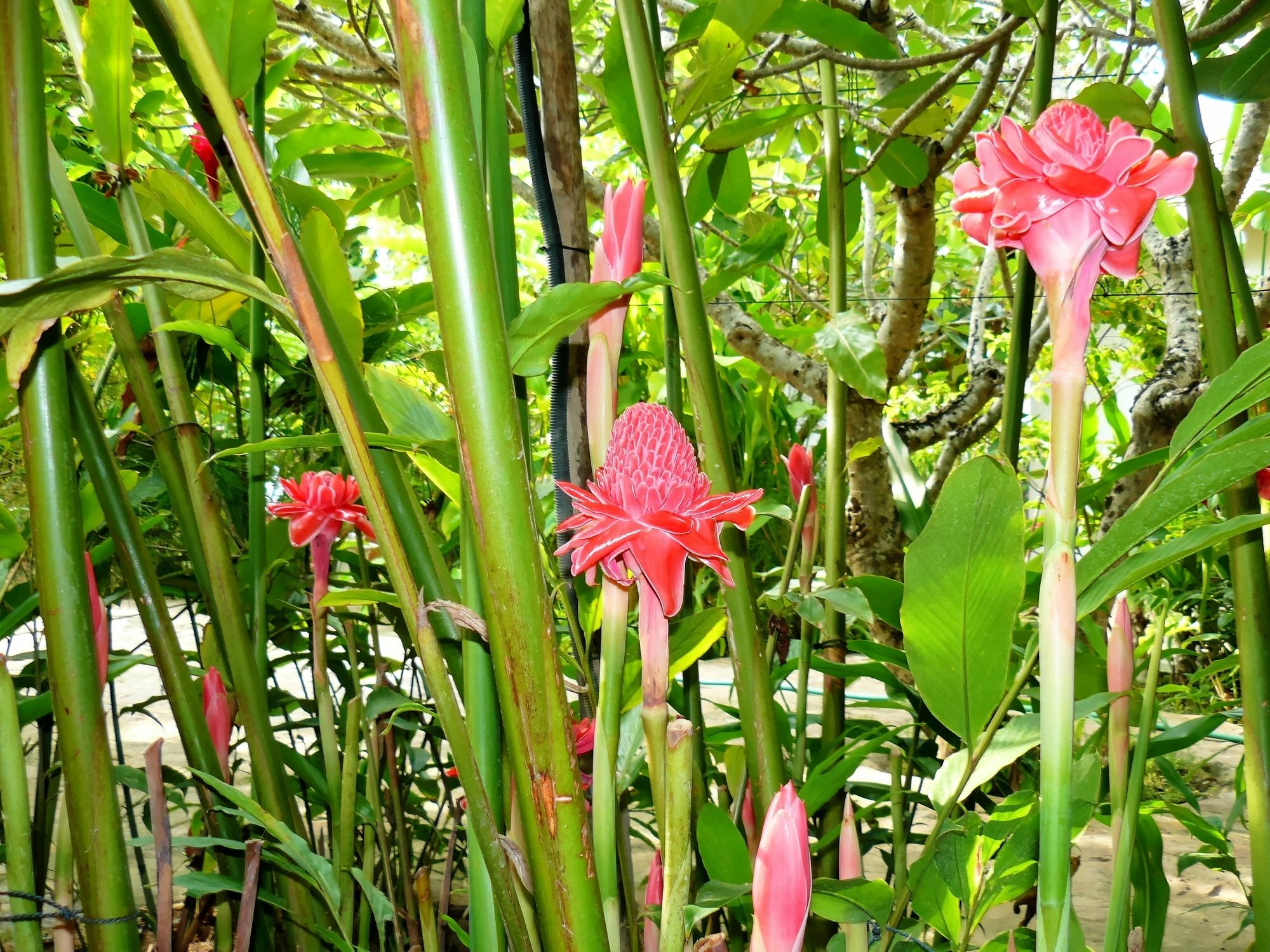 Mealea Resort Kep Bagian luar foto