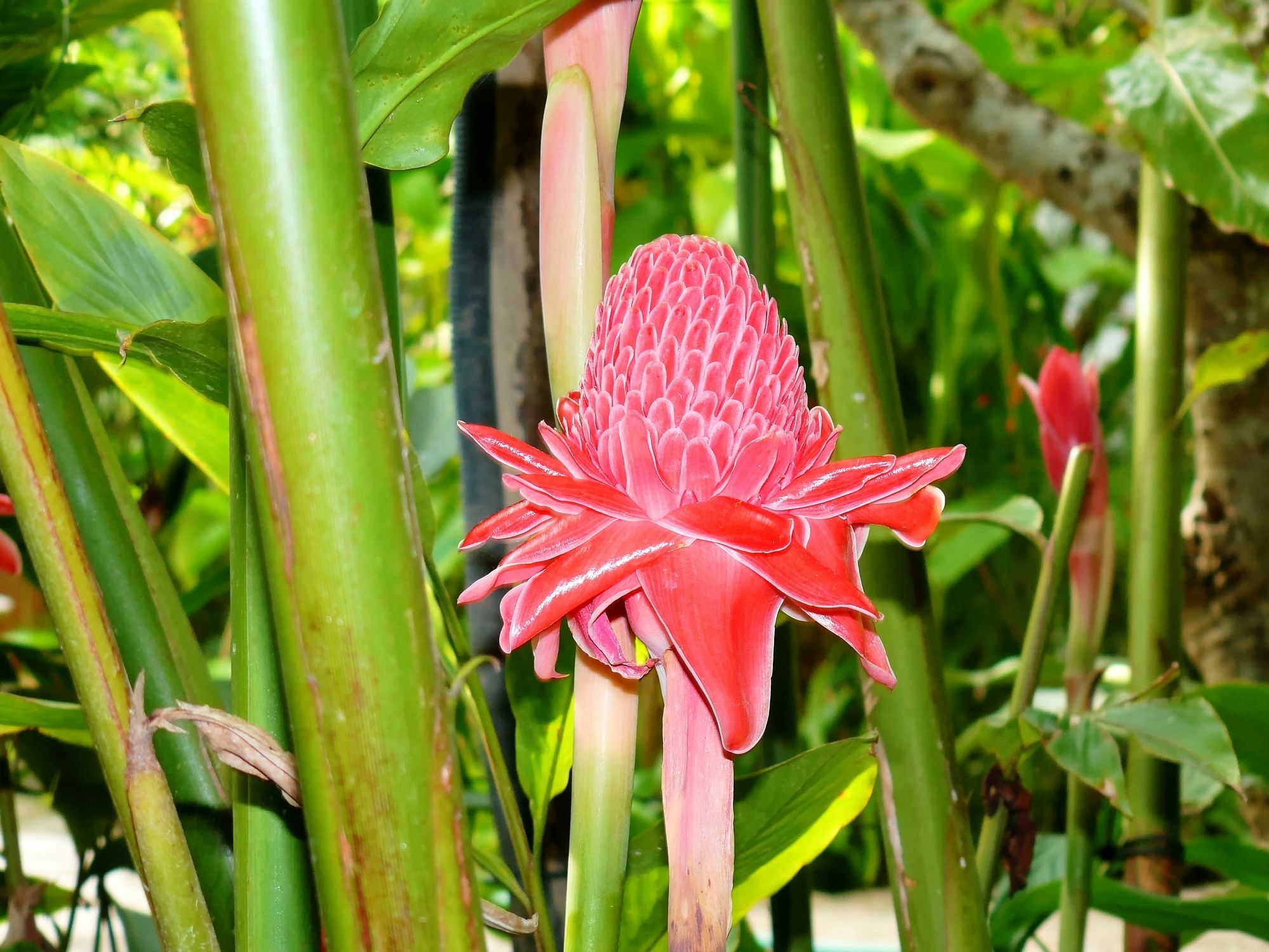 Mealea Resort Kep Bagian luar foto
